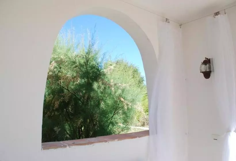 تختخواب و صبحانه Aloasis