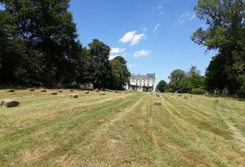 ベッドアンドブレックファースト Chambres D'hotes Château De La Puisaye