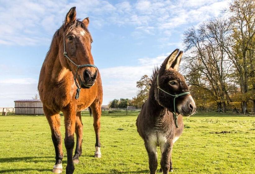 ベッドアンドブレックファースト Chambres D'hotes Château De La Puisaye