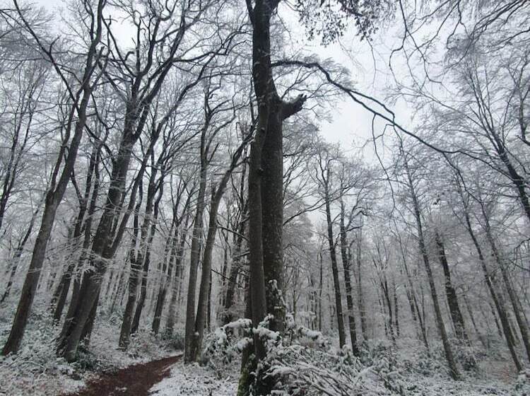 צימר Chateau De Bonnevaux