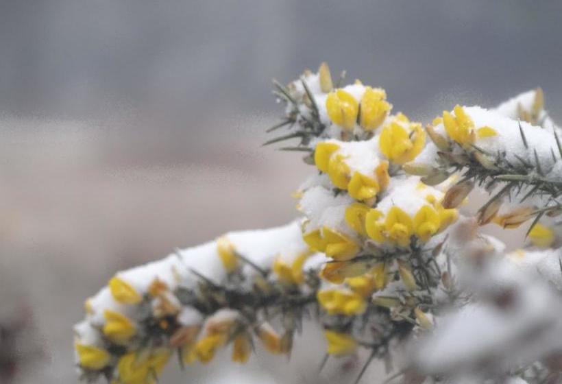 צימר Château Du Deffay