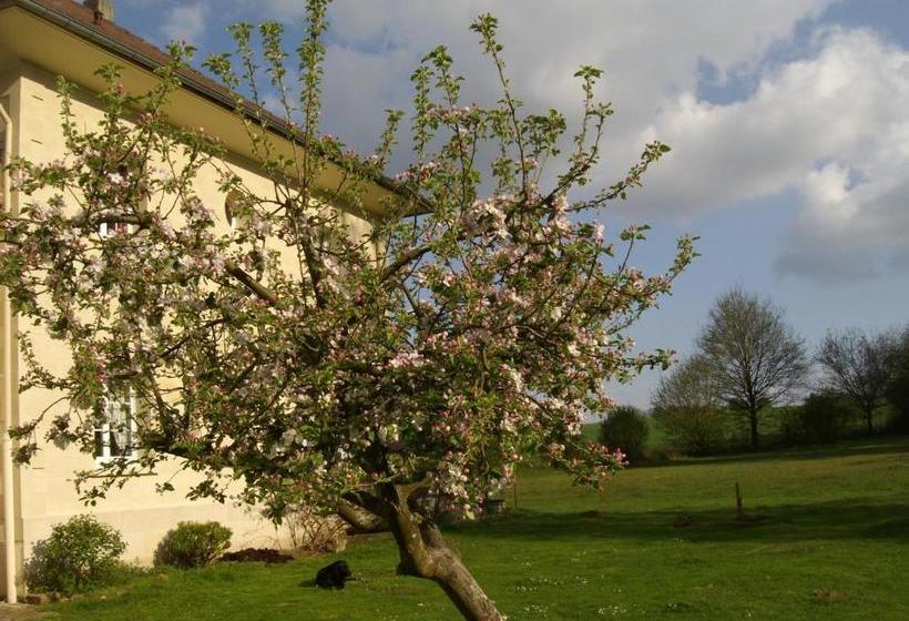 ベッドアンドブレックファースト Domaine De Beauvilliers