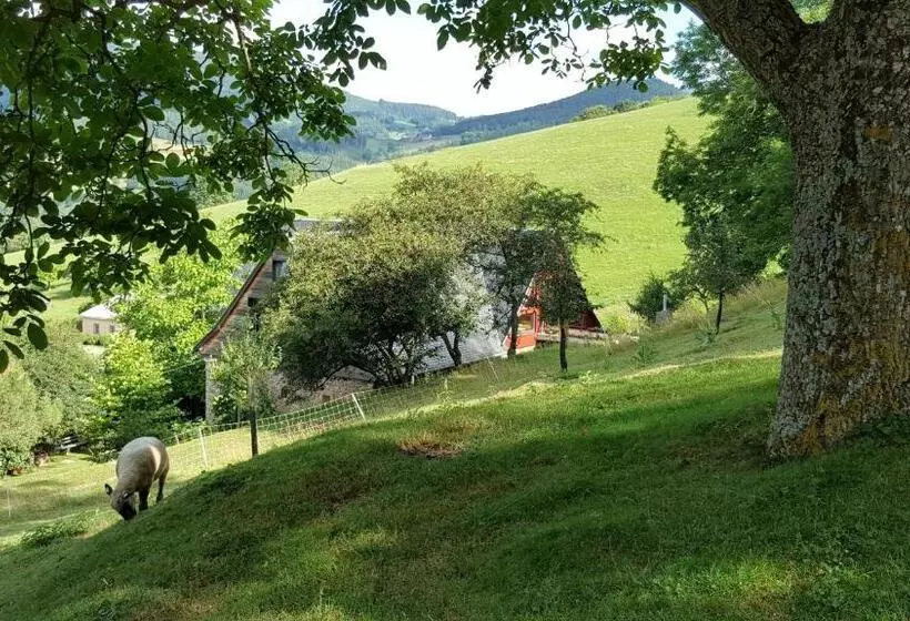 ベッドアンドブレックファースト Le Chat Rouge Chambres D'hôtes De Charme En Alsace