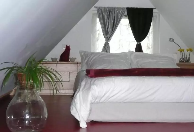 ベッドアンドブレックファースト Le Chat Rouge Chambres D'hôtes De Charme En Alsace