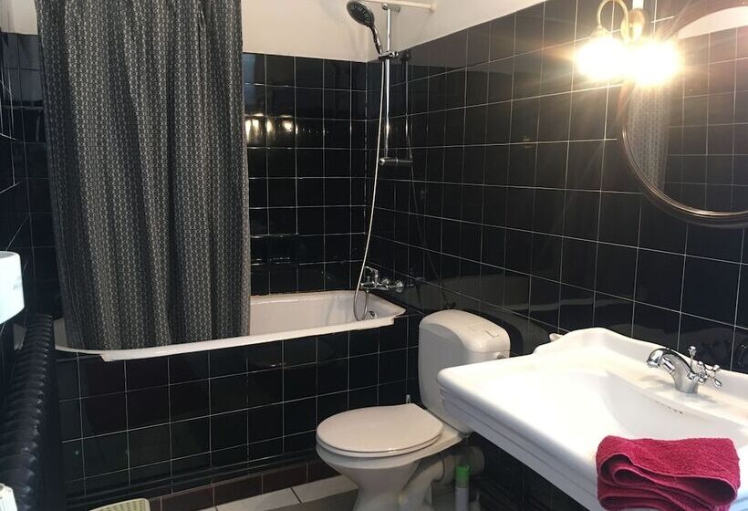 בית מלון כפרי Hôtel De France Et De Russie