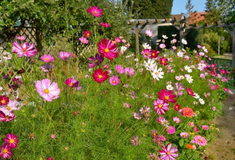 住宿加早餐  Logis Hôtel & Restaurant Chateau De La Marjolaine