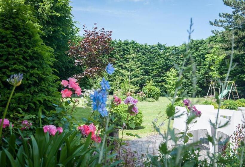 تختخواب و صبحانه Le Petit Matin