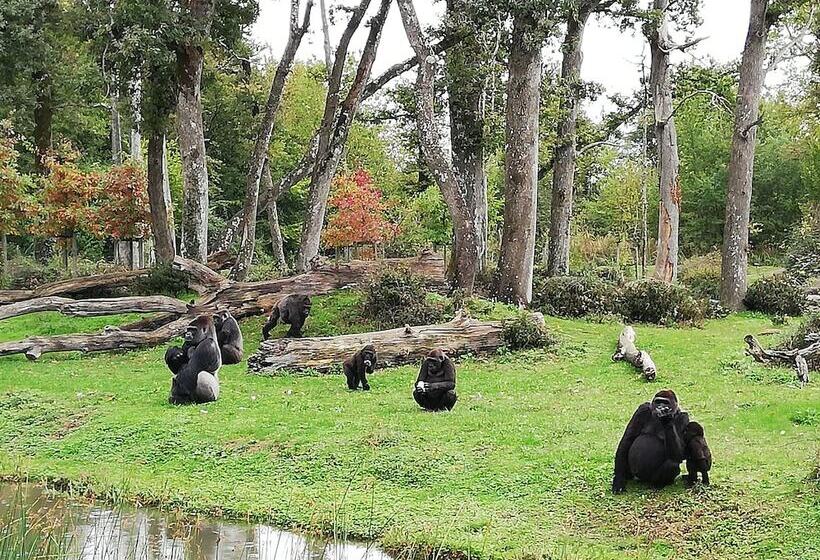 Bed and Breakfast Les Chenets