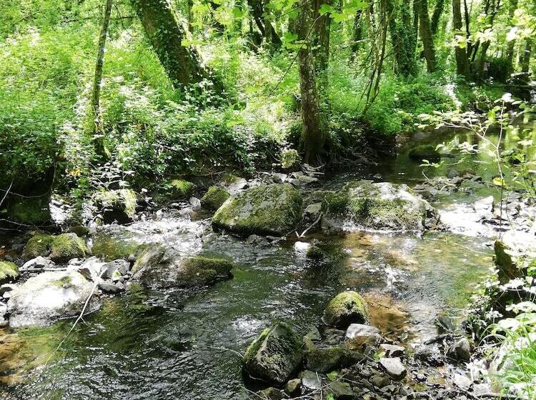 Bed and Breakfast Les Chenets