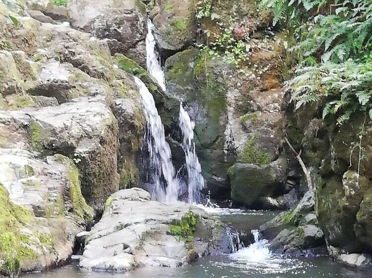 Bed and Breakfast Les Chenets