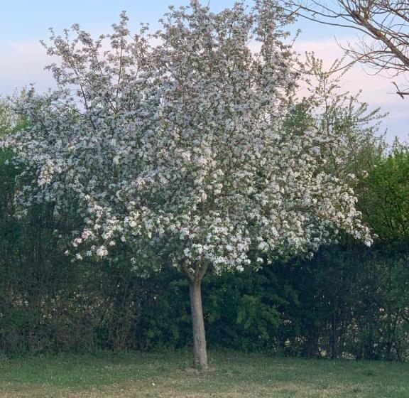 Fasthotel Saint Amand Montrond Orval