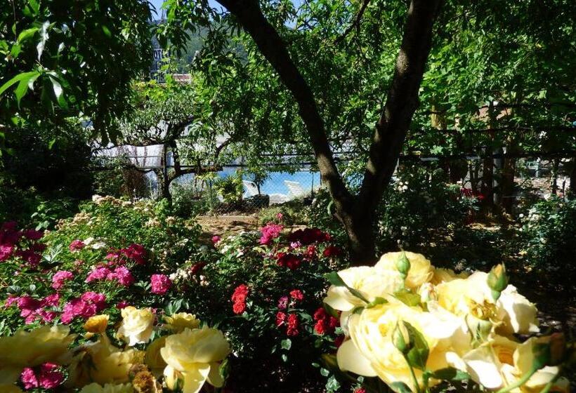 בית מלון כפרי Hôtel Du Lion D'or