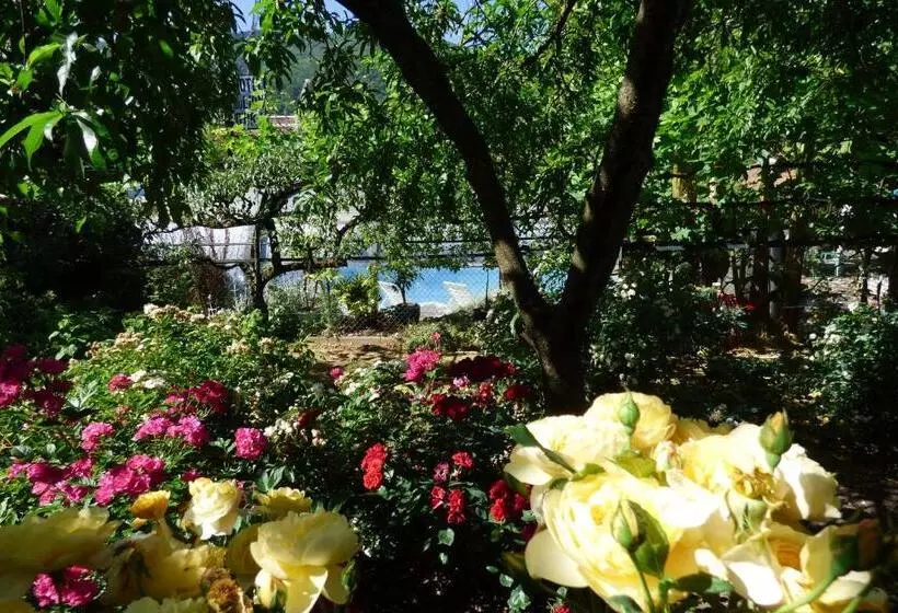 ホテル Hôtel Du Lion D'or