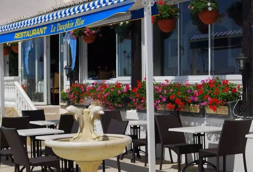 هتل Hôtel Le Dauphin Bleu