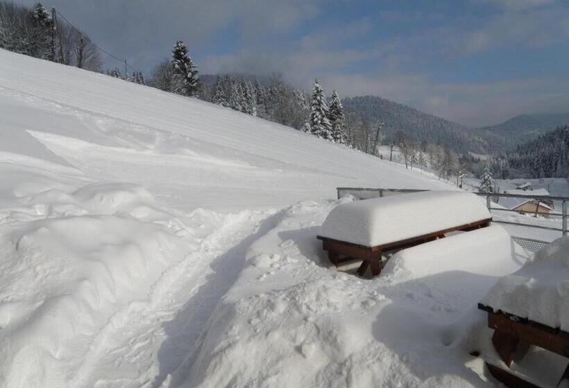 酒店 Hôtel Le Vétiné