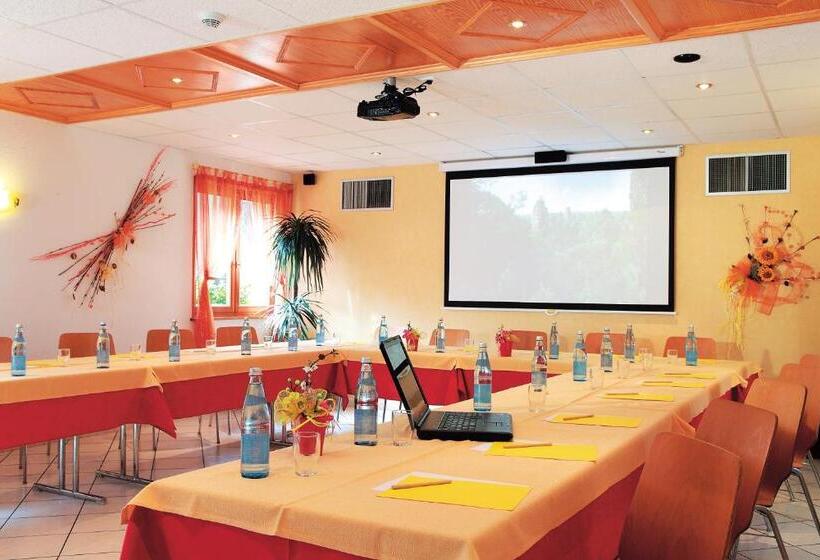 酒店 Hôtel Le Vétiné