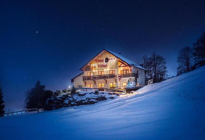 酒店 Hôtel Le Vétiné