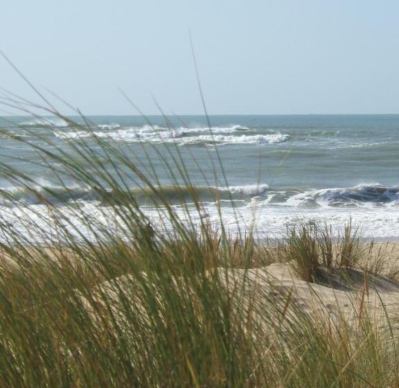 فندق Le Heron Cendre