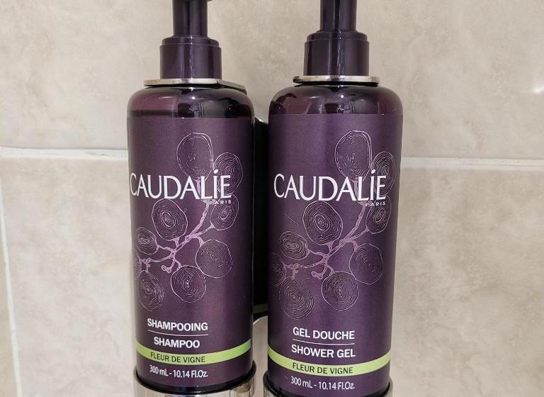 فندق Le Manoir Saint Thomas