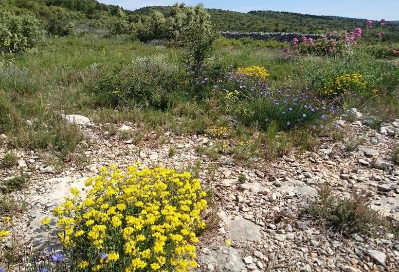 בית מלון כפרי Les Oliviers