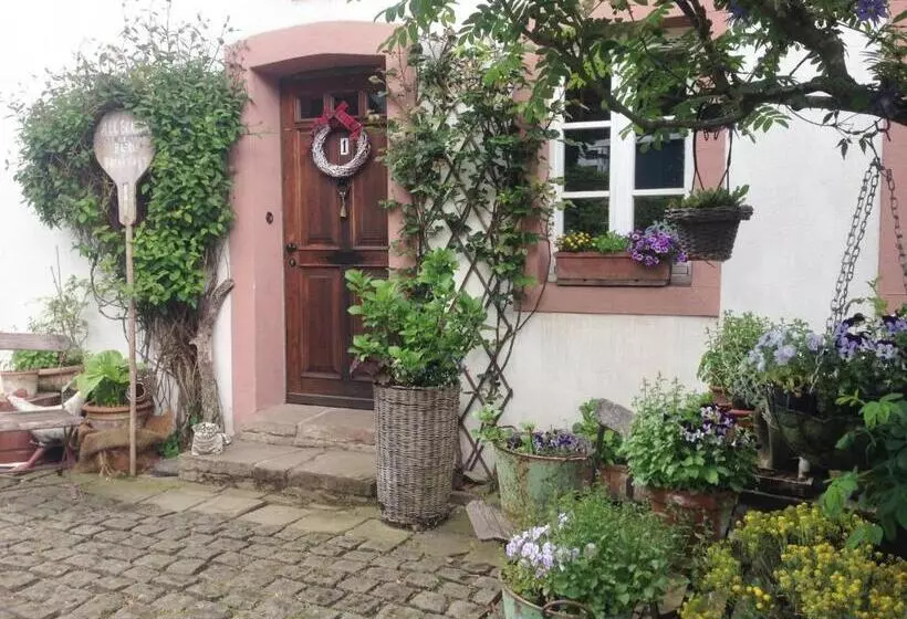 All Seasons Bed & Breakfast