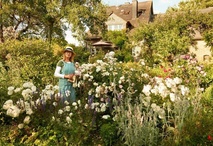 All Seasons Bed & Breakfast