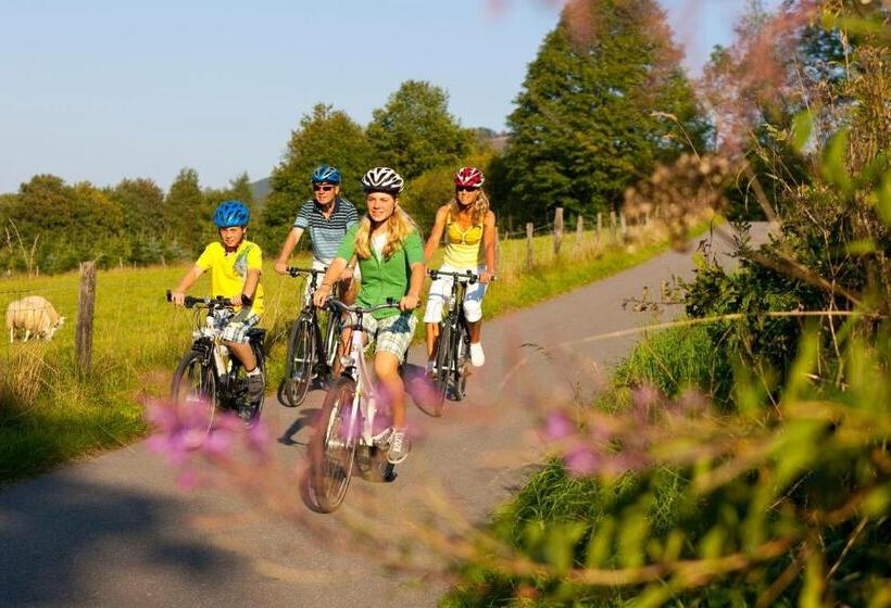 ホテル Bed & Breakfast Weisser Stein