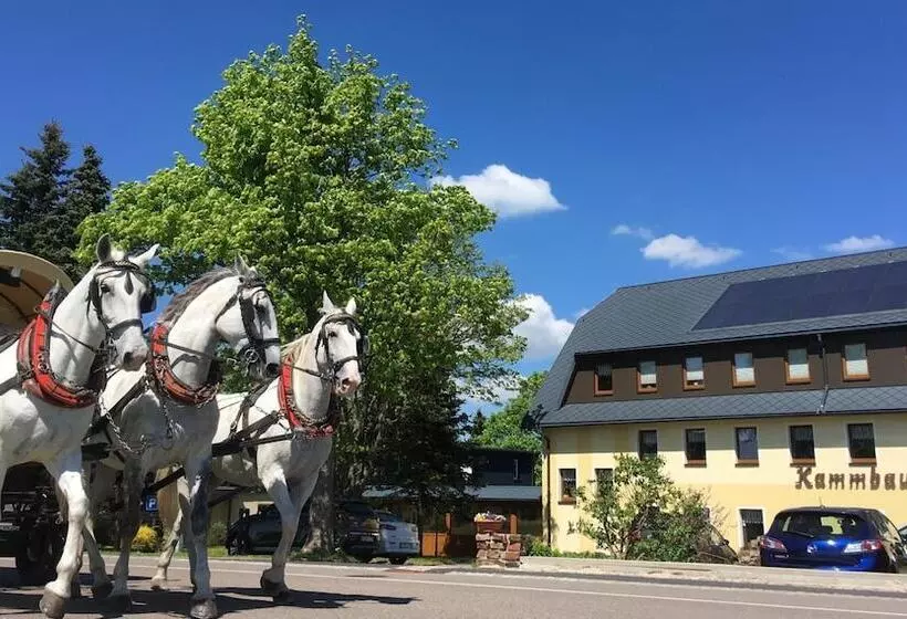 ホテル Dachsbaude & Kammbaude