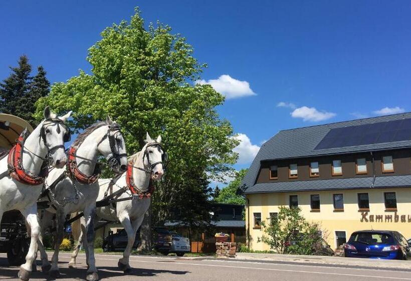 فندق Dachsbaude & Kammbaude