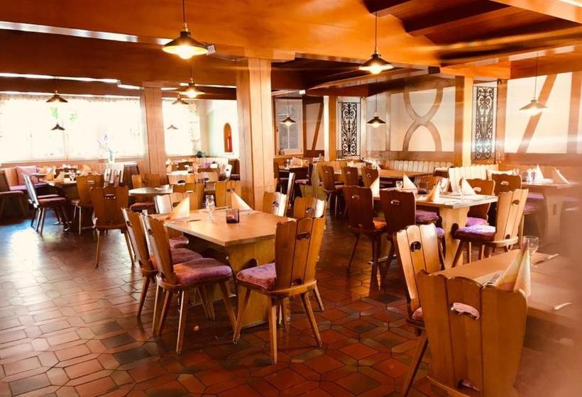 Otel Gasthof Hirschen