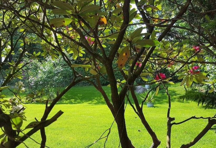 호텔 Haus Waldheim