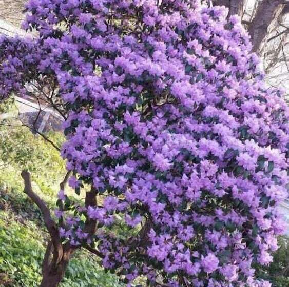 호텔 Haus Waldheim