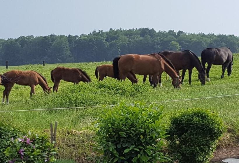 호텔 Haus Waldheim