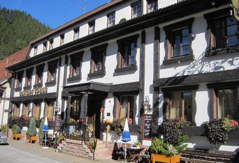 Отель Restaurant Albans Sonne