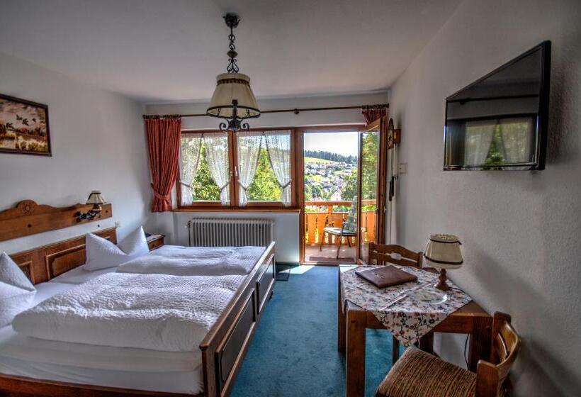 בית מלון כפרי Rita