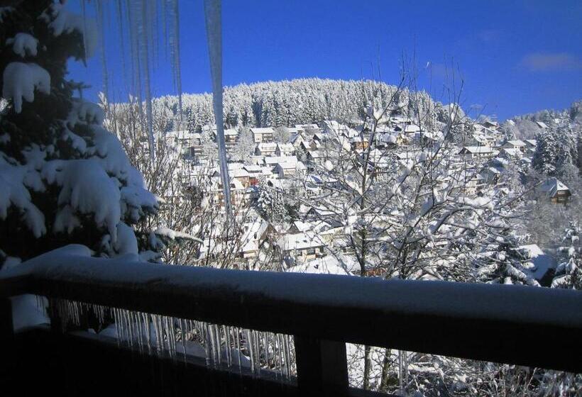 בית מלון כפרי Rita