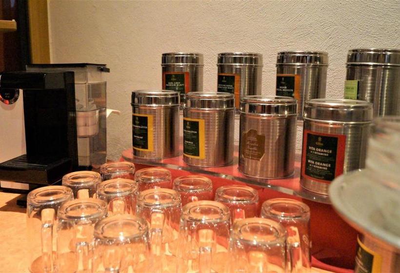 בית מלון כפרי St.martiner Castell