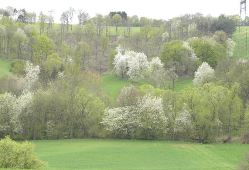 Отель Thüringer Hof