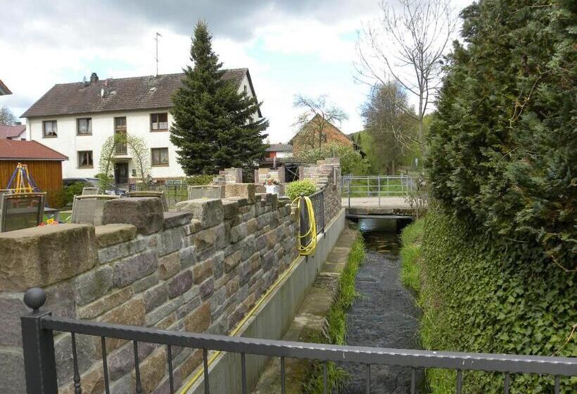 Отель Thüringer Hof