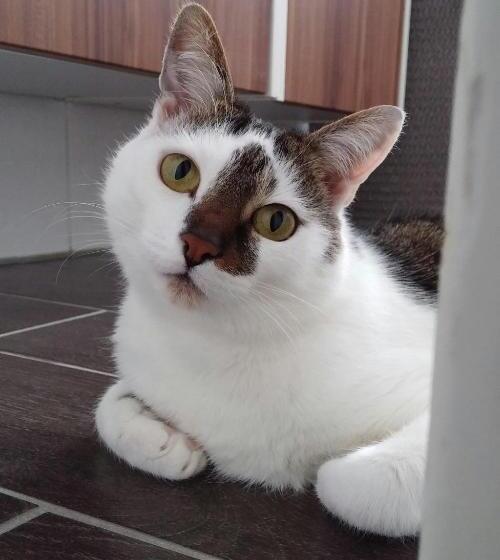 Отель Vier Jahreszeiten