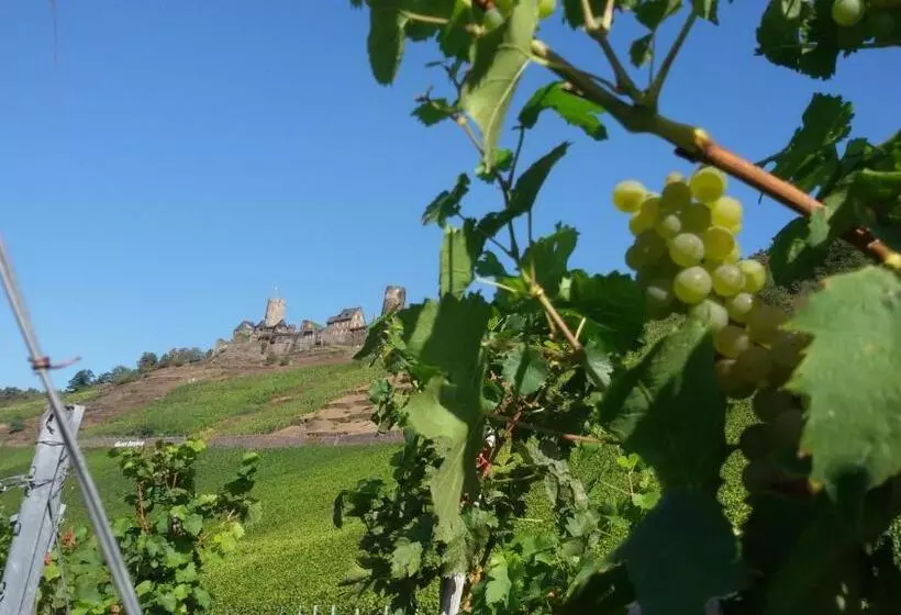 Hotelli Winzerhof Brachtendorf