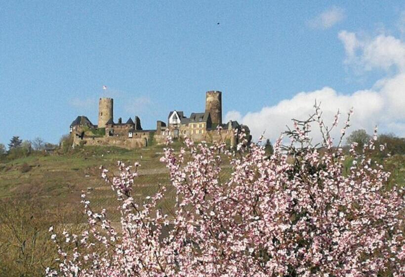 호텔 Winzerhof Brachtendorf