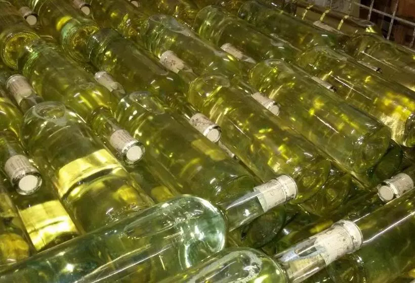 Hotelli Winzerhof Brachtendorf