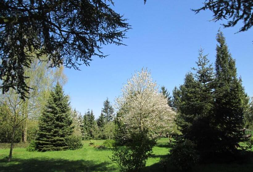 فندق World House Wetten