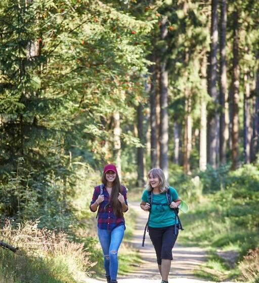 Land Gut Hotel Am Ring