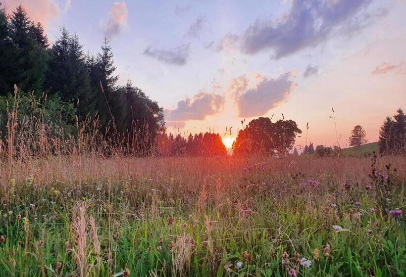 Seehotel Hartung & Ferienappartements