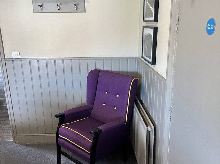 مبيت وإفطار Bull