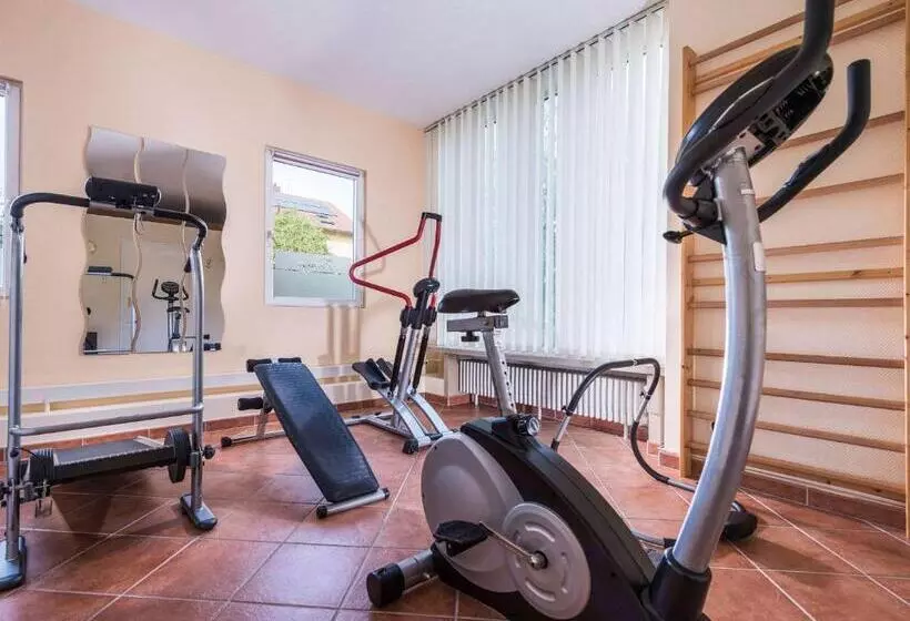Hotelli Ibis Styles Offenburg City