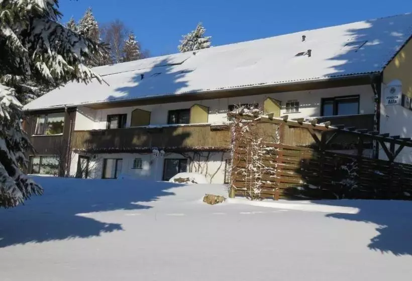 Hotelli Pension Alfa