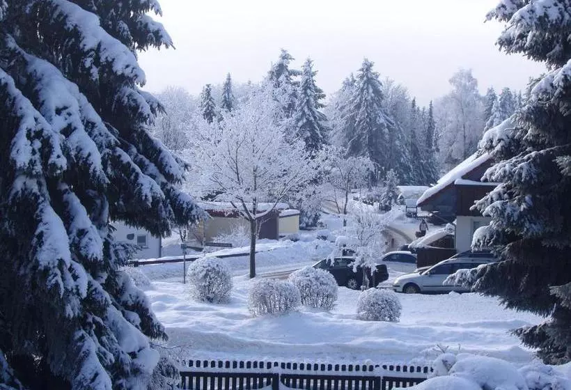 Hotelli Pension Alfa